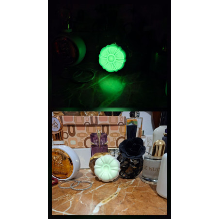 Montaje de día y de noche de la figura de flor en cemento blanco con brillo verde fosforescente.