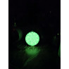 Efecto de brillo verde nocturno en la oscuridad de la figura de caléndula fosforescente.