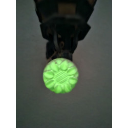 Efecto de iluminación verde fosforescente de la flor de caléndula colgada en un aplique a oscuras.