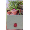 Adorno de flor de cemento rosa en una maceta con helecho y colgado en una pared exterior texturizada.