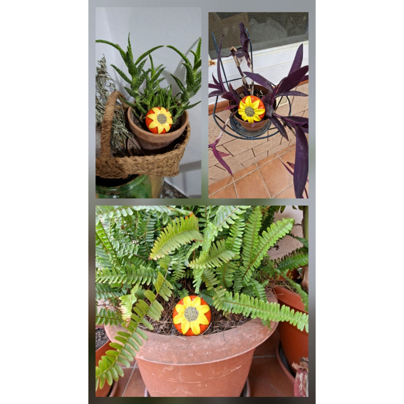 Adorno de girasol de cemento pintado a mano decorando macetas de helecho, aloe vera y plantas de exterior.