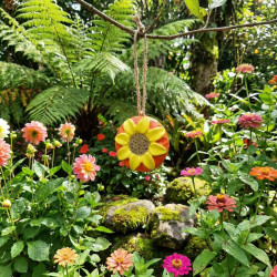 Adorno de girasol de cemento pintado a mano colgado de la rama de un árbol en un jardín con flores y helechos.