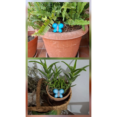 Adorno de mariposa de cemento azul brillante pintado a mano en maceta de helecho y tiesto de aloe vera en cesta de mimbre.