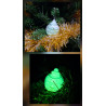 Adorno bola de Navidad de cemento fosforescente con relieve de estrellas de día en el abeto y brillando en color verde de noche.